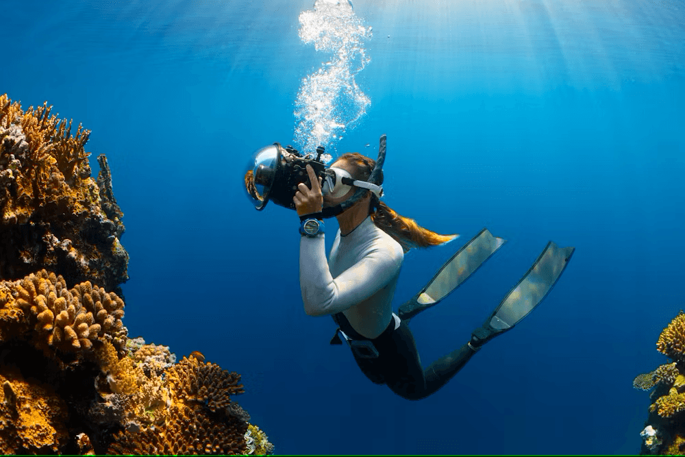 Swimming - Ectron Online
