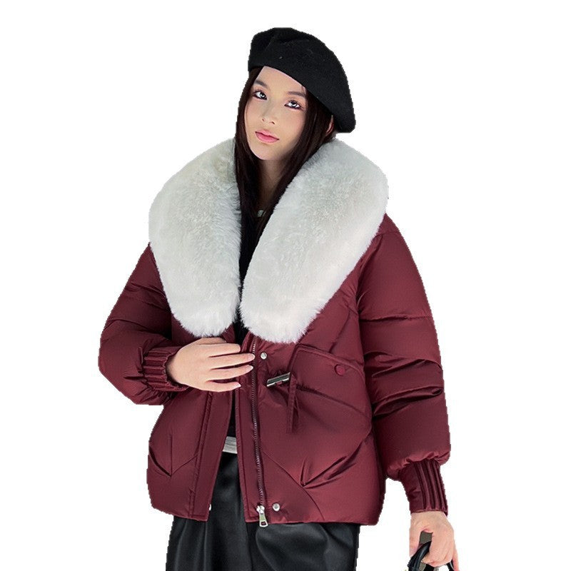 Person wearing a burgundy winter coat with a fur-lined hood on a white background