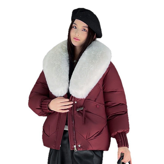 Person wearing a burgundy winter coat with a fur-lined hood on a white background