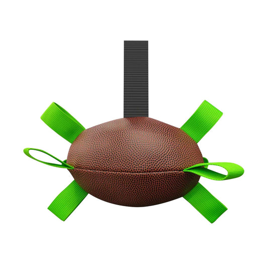 Interactive Dog Football Toy Pet Toys | Ectron Online