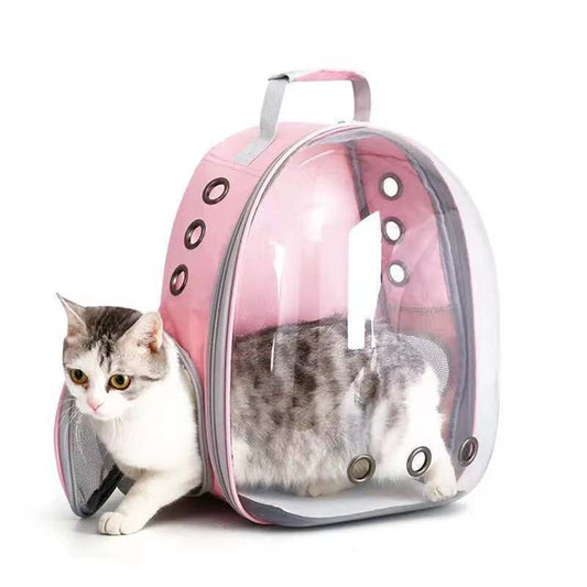 Transparent shell pet bag new fashion trend large capacity space cover cat bag panoramic dog backpack - Ectron Online