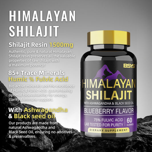 BSYS 8-in-1 Shilajit Gummies (60 Count) - Natural Vitality & Energy Boost