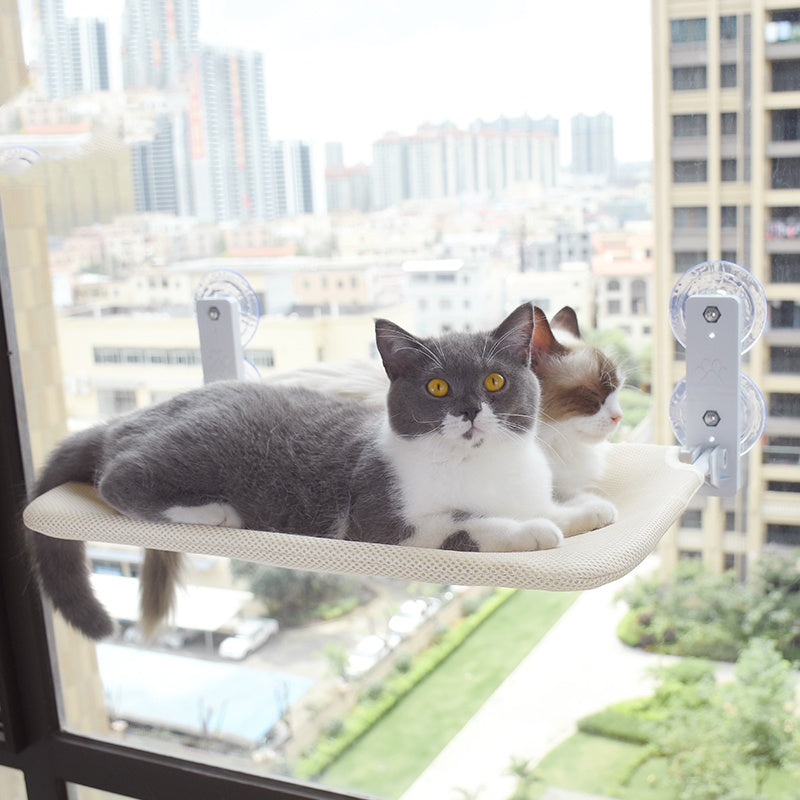 Cat Suction Cup Window Glass Hammock Pet Cat Pets Products - Ectron Online