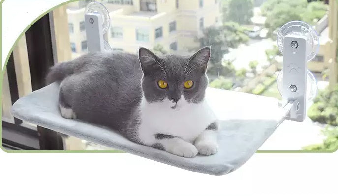 Cat Suction Cup Window Glass Hammock Pet Cat Pets Products - Ectron Online