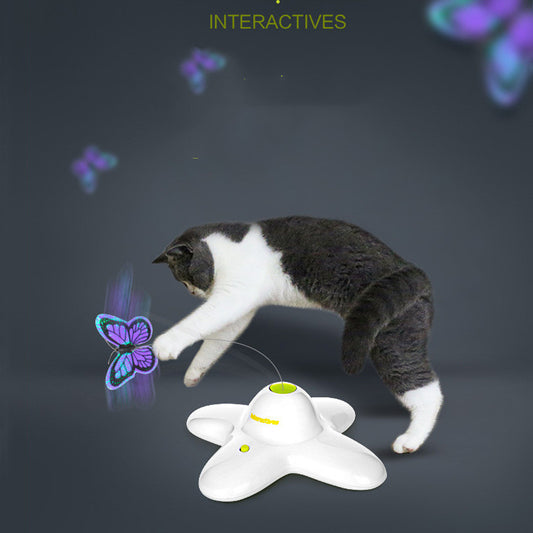 Butterfly Flying Funny Cat Artifact