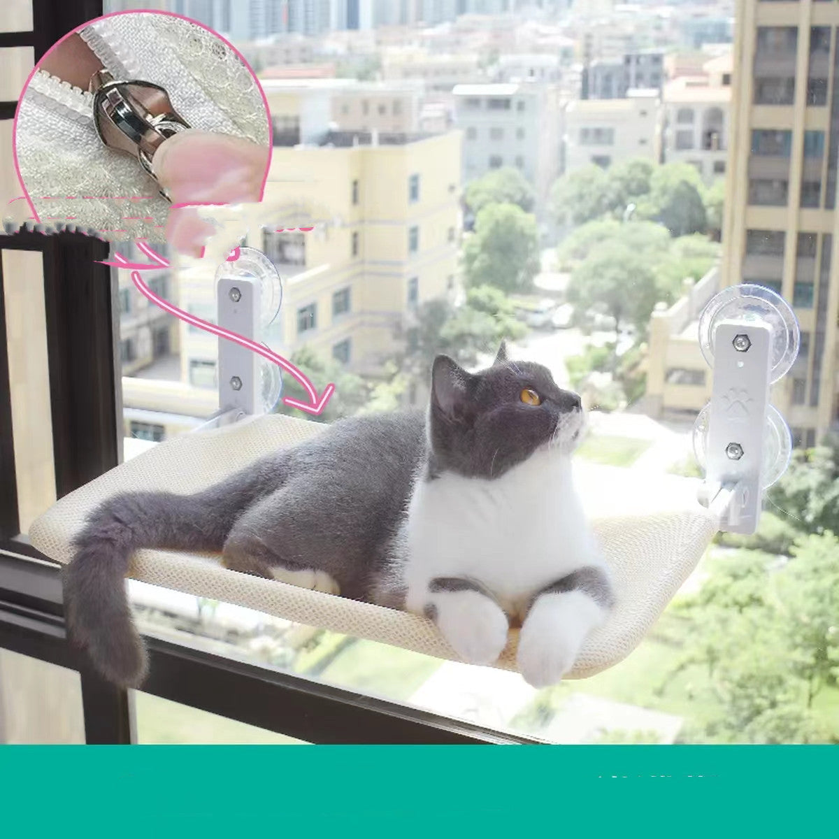 Cat Suction Cup Window Glass Hammock Pet Cat Pets Products - Ectron Online