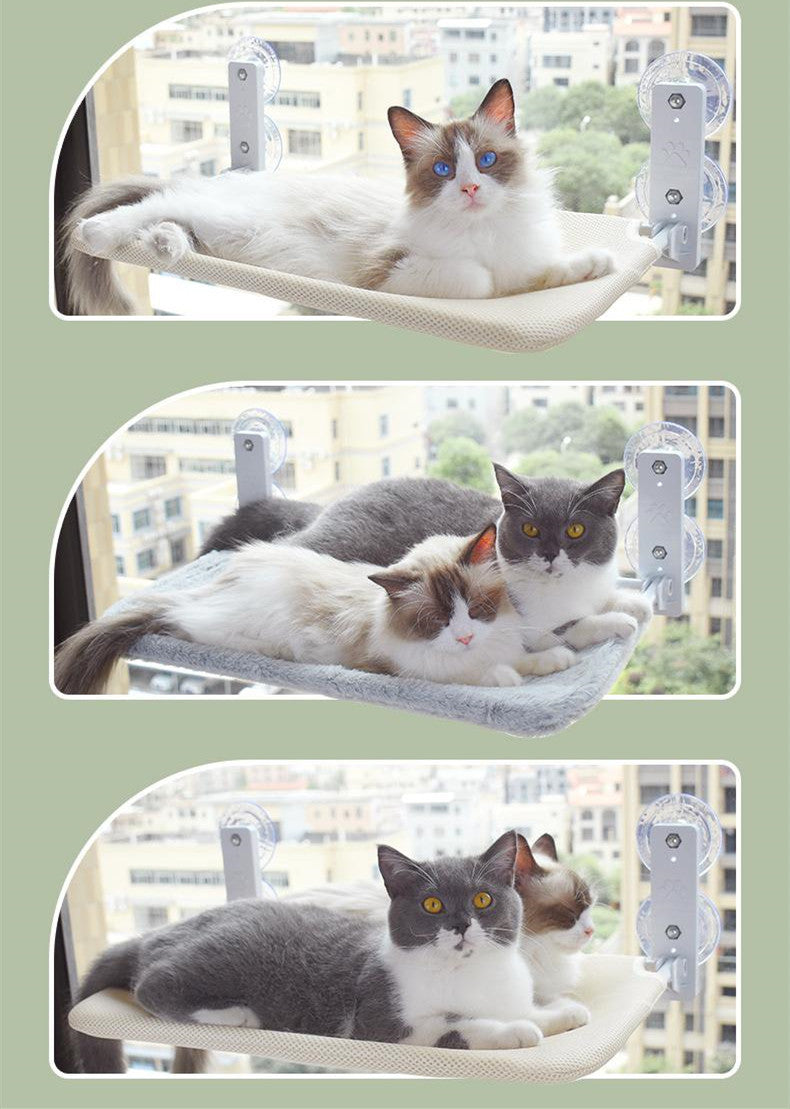 Cat Suction Cup Window Glass Hammock Pet Cat Pets Products - Ectron Online
