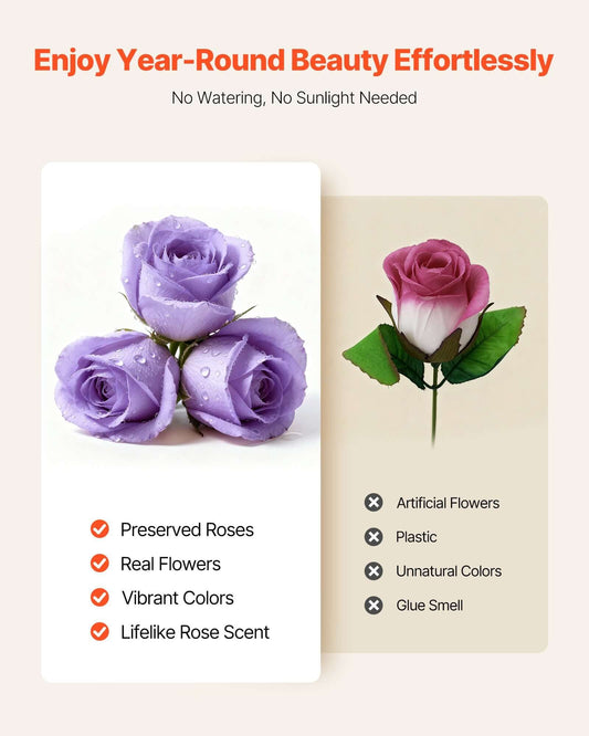 50 Real Preserved Roses in a Box