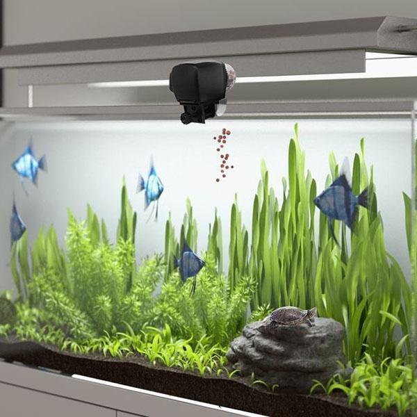 Digital Automatic Aquarium Fish Feeder - Ectron Online