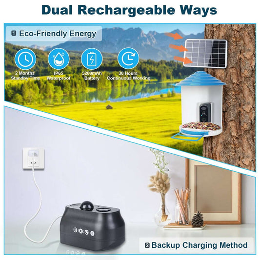 Smart Bird Feeder with Solar Camera Smart Bird Feeder With Solar Powered Cam | Ectron Online