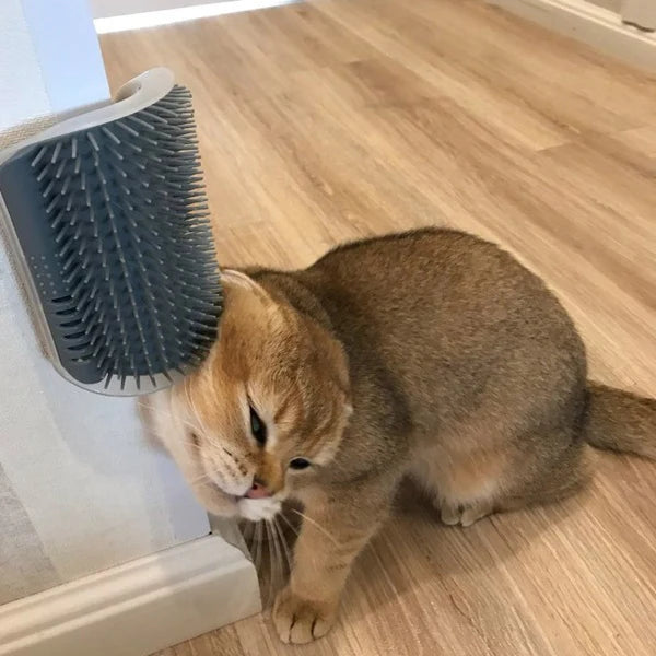 Cat Self-Grooming Brush Pet Wall Rubbing Device - Ectron Online