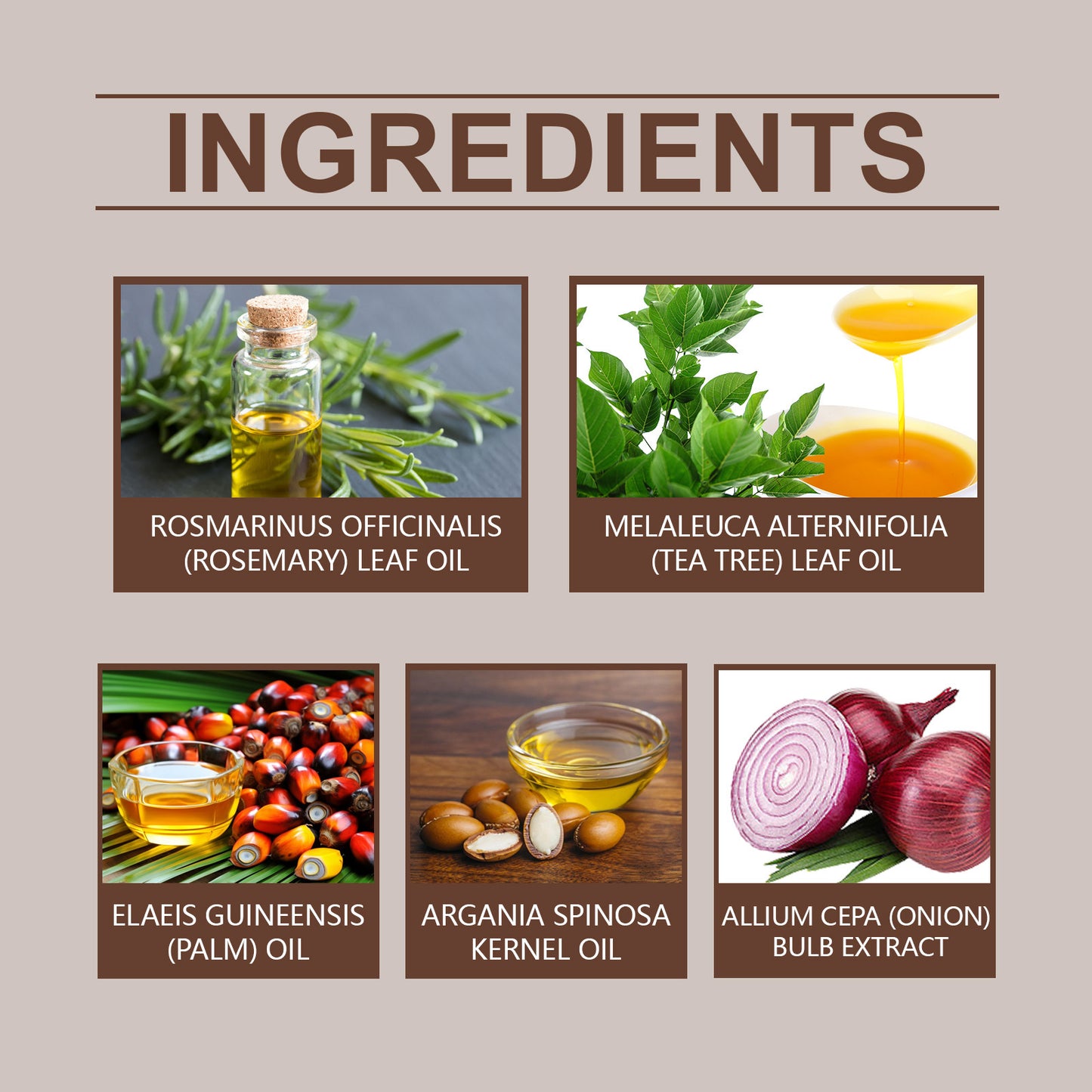List of ingredients with corresponding images and names on a beige background
