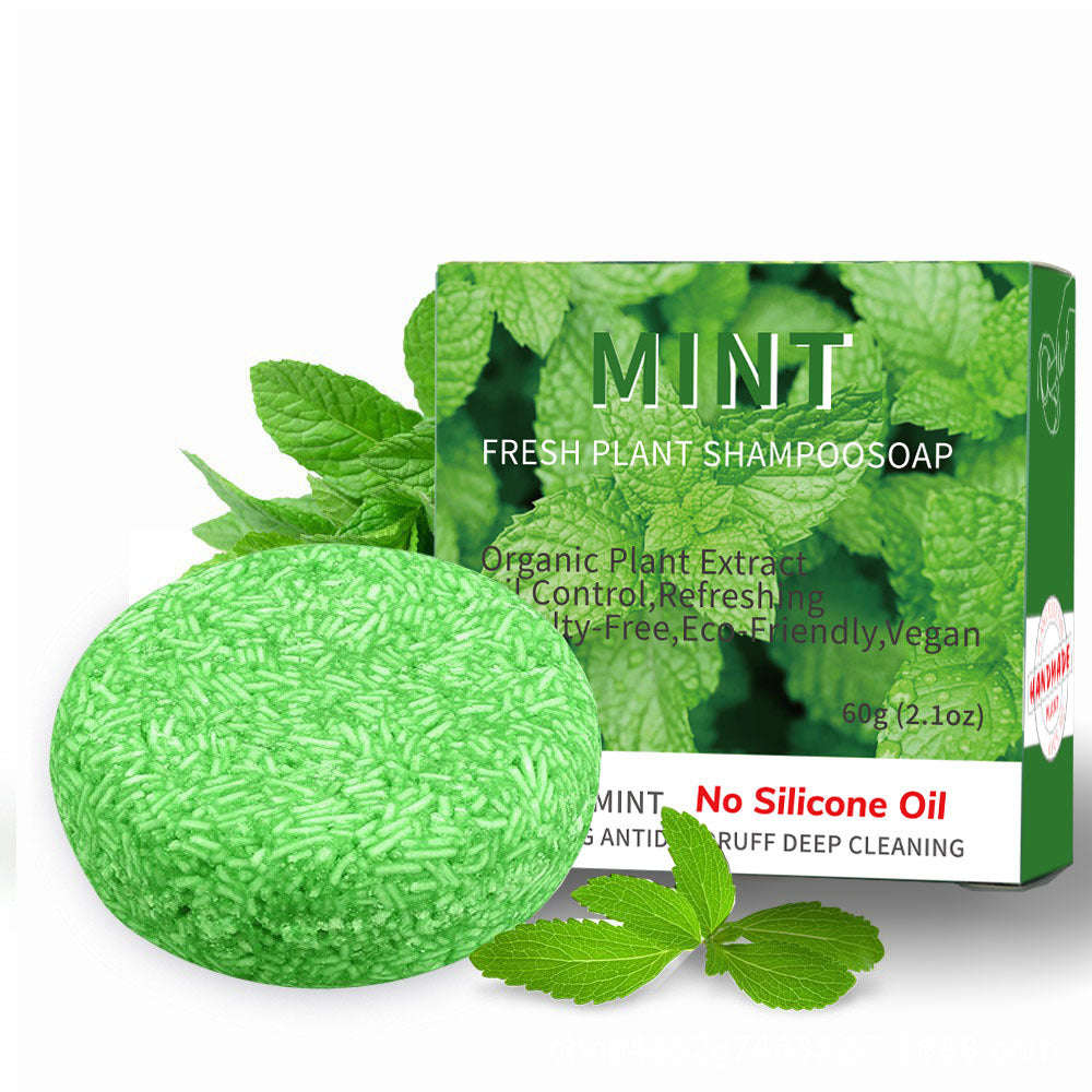 Green shampoo bar with packaging featuring mint leaves on a white background