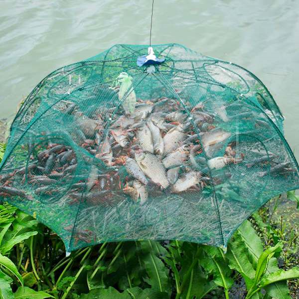 Strengthened 4-20 Holes Automatic Fishing Net Shrimp Cage Nylon Foldable Fish Trap Cast Net Cast Fold Crab Trap Fishing Network - Ectron Online