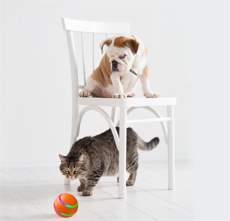 Pet New Cat Wicked Ball Toy Intelligent Ball USB Cat Toys Self Rotating Ball Automatic Rotation Ball - Ectron Online