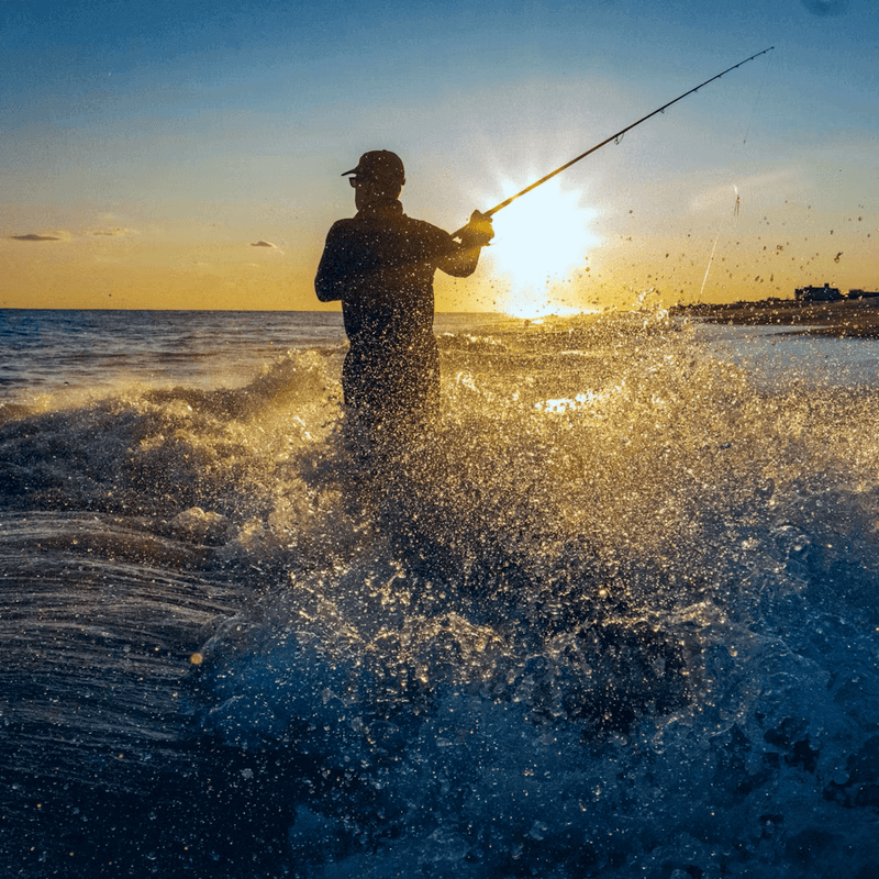 A display of high-modulus fishing rods, precision reels, and tackle from the Premium Fishing Gear collection