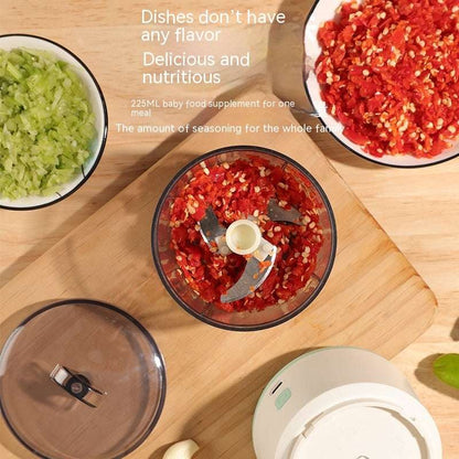 Electric Knife Sharpener with USB Rechargeable Battery