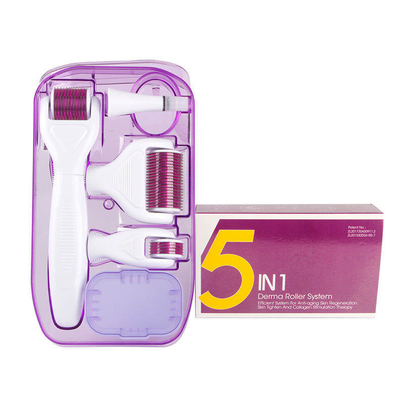DermaKit™ 6-in-1 Derma Roller Kit for Facial Microneedling & Skin Care Facial Skin Care Tools Gift Set | Ectron Online