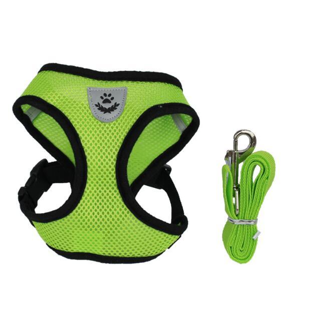 Adjustable Pet Safety Harness and Leash Pet Car Seat Belt Pet Leash | Ectron Online