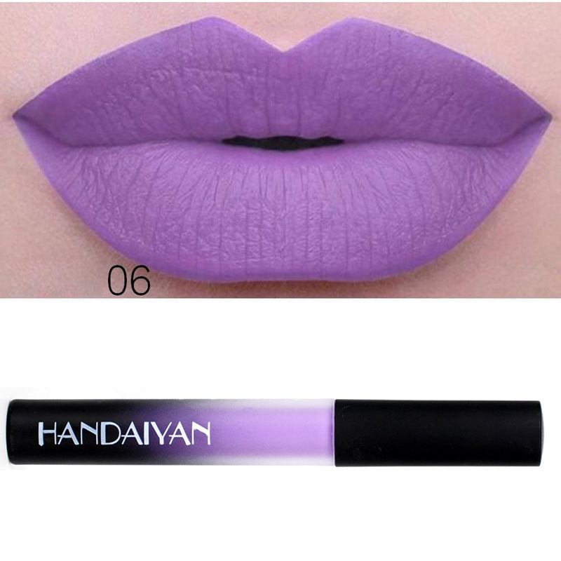 Charm color matte Velvet Matte Lip gloss lip matte glaze with matte lipstick liquid lasting authorization