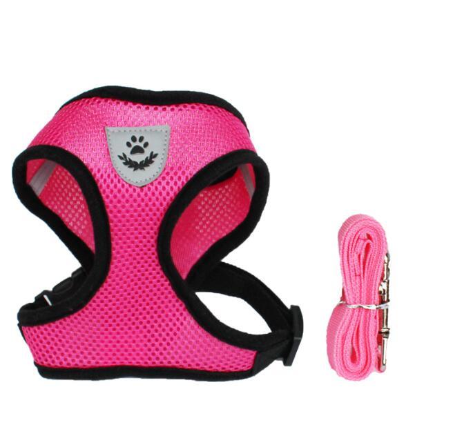 Adjustable Pet Safety Harness and Leash Pet Car Seat Belt Pet Leash | Ectron Online