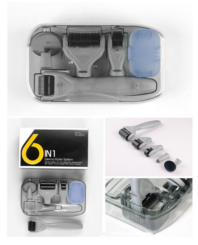 DermaKit™ 6-in-1 Derma Roller Kit for Facial Microneedling & Skin Care Facial Skin Care Tools Gift Set | Ectron Online