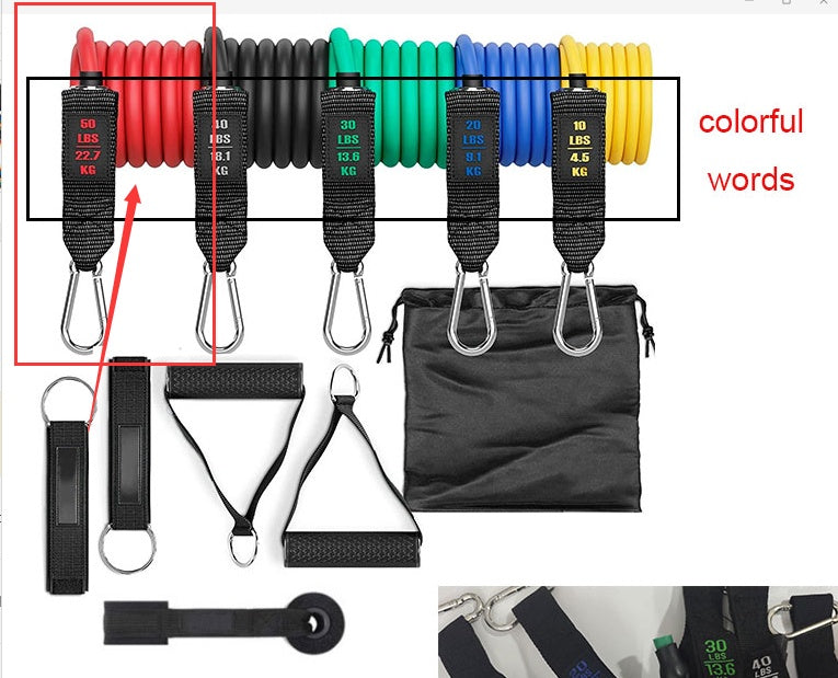 Fitness Rally Elastic Resistance Band – Durable Workout Rope Fitness Rally Elastic Rope Resistance Ba | Ectron Online