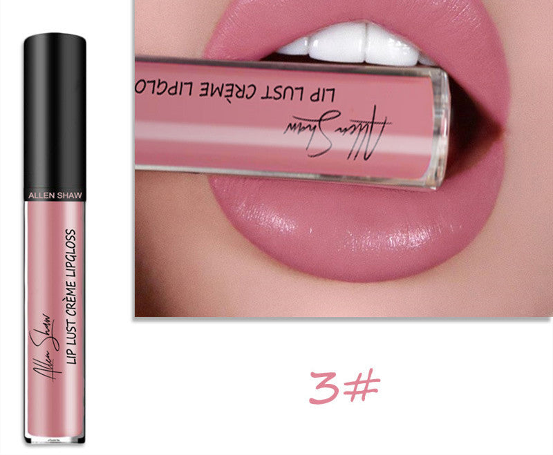 Silky Cream Texture Lip Gloss Silky Cream Texture Lip Gloss Aliexpress | Ectron Online