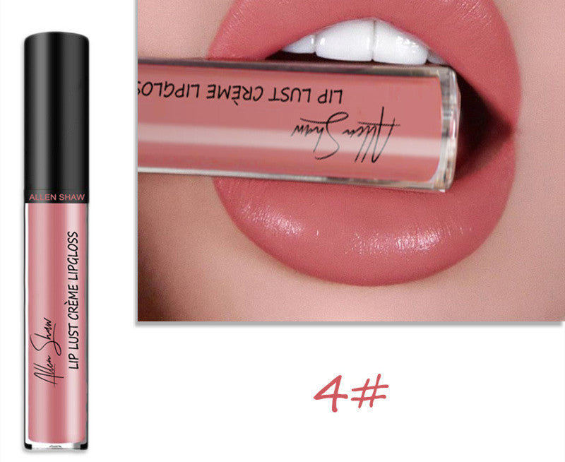Silky Cream Texture Lip Gloss Silky Cream Texture Lip Gloss Aliexpress | Ectron Online