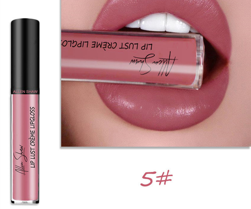 Silky Cream Texture Lip Gloss Silky Cream Texture Lip Gloss Aliexpress | Ectron Online