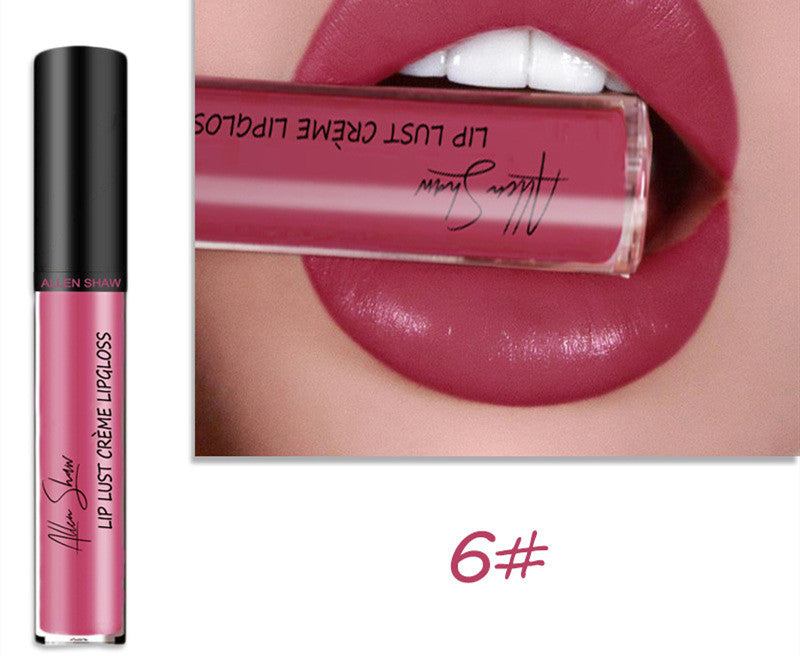 Silky Cream Texture Lip Gloss Silky Cream Texture Lip Gloss Aliexpress | Ectron Online