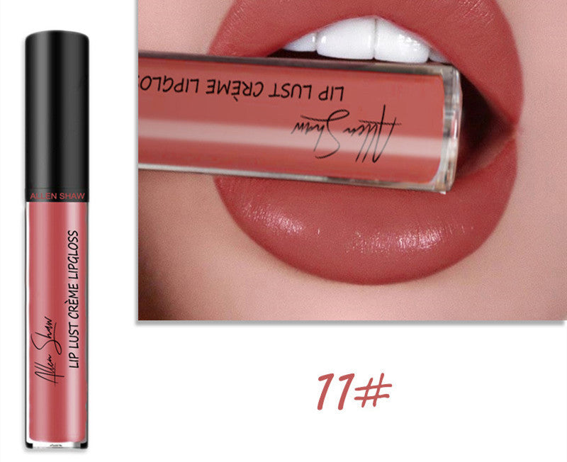 Silky Cream Texture Lip Gloss Silky Cream Texture Lip Gloss Aliexpress | Ectron Online