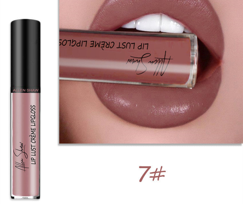 Silky Cream Texture Lip Gloss Silky Cream Texture Lip Gloss Aliexpress | Ectron Online