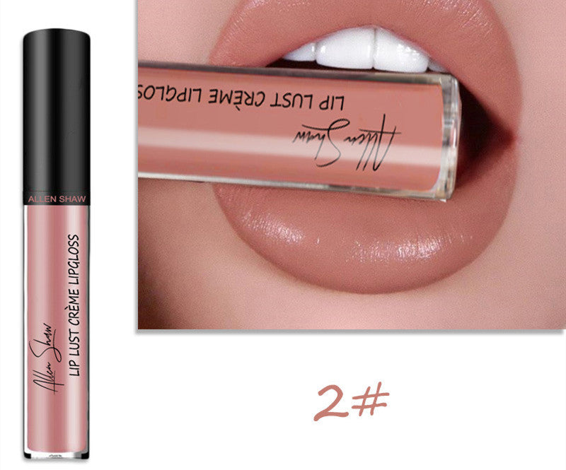 Silky Cream Texture Lip Gloss Silky Cream Texture Lip Gloss Aliexpress | Ectron Online