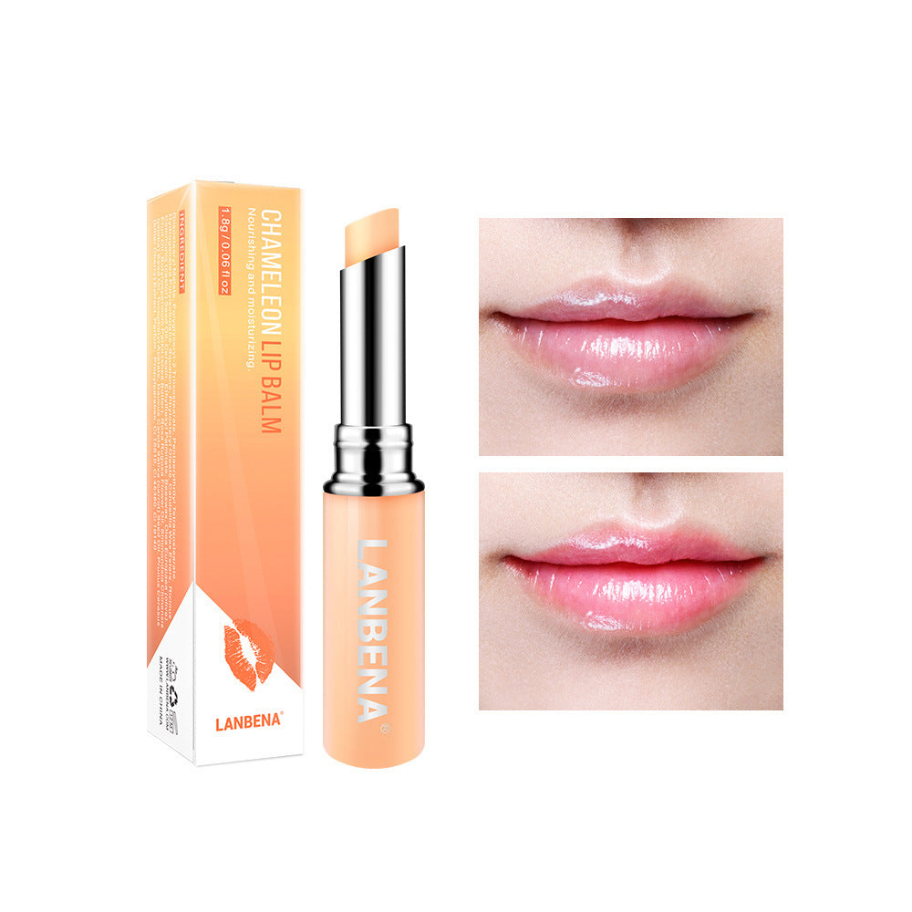 Hyaluronic Acid Lip Balm & Plumper | Moisturizing Lip Care Hyaluronic Acid Long-lasting Nourishing | Ectron Online