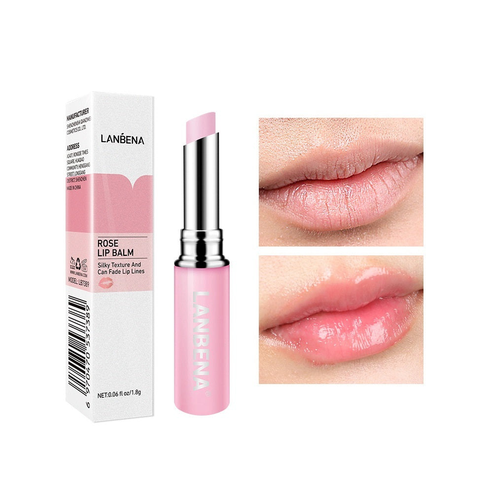 Hyaluronic Acid Lip Balm & Plumper | Moisturizing Lip Care Hyaluronic Acid Long-lasting Nourishing | Ectron Online