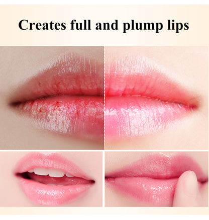 Hyaluronic Acid Long-lasting Nourishing Lip Balm Lip Plumper Moisturizing Reduce Fine Lines Relieve Dryness Lip Care