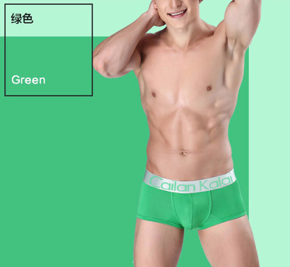 Men's Underwear Boxers Modal Breathable Boxer