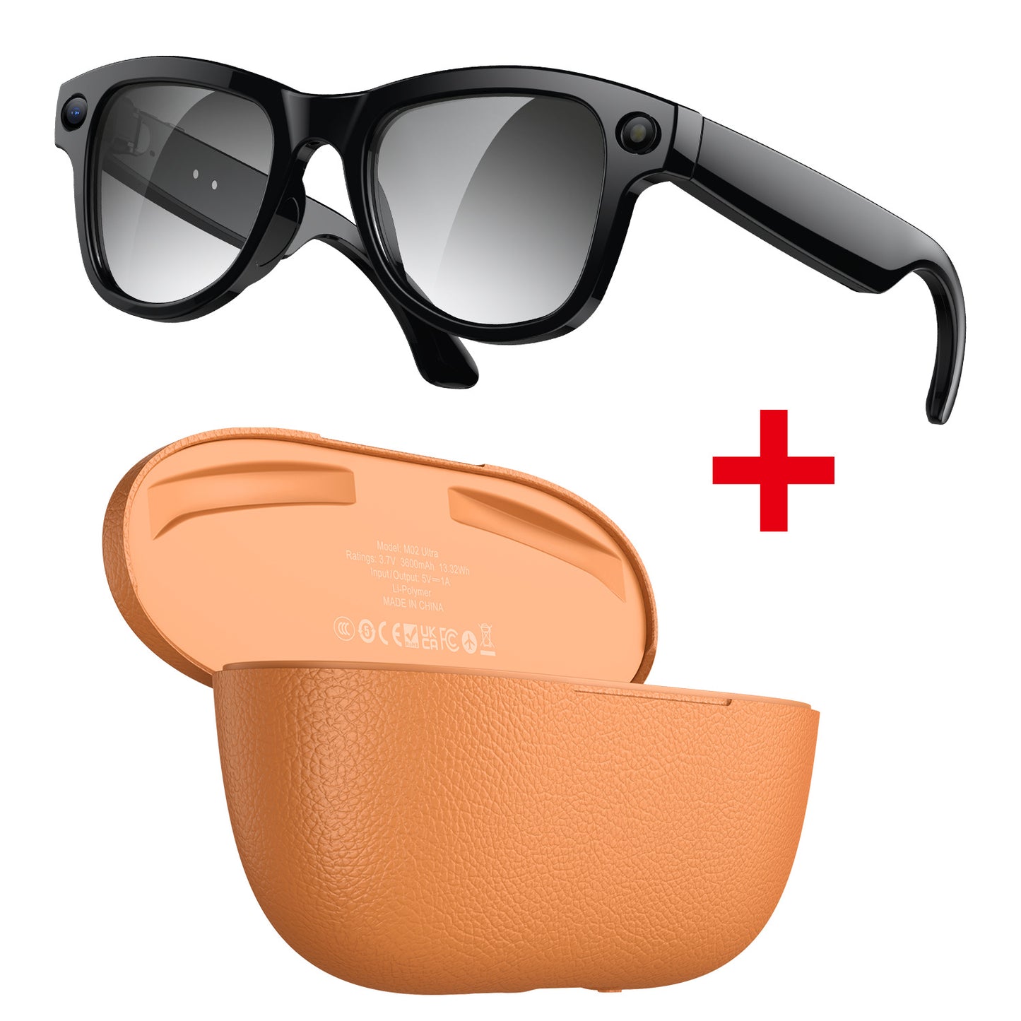 AI-Powered Smart Glasses