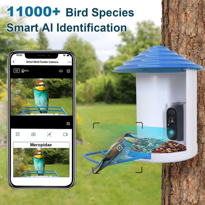 White and blue smart bird feeder with camera, blue roof, and feed tray beside a phone.
