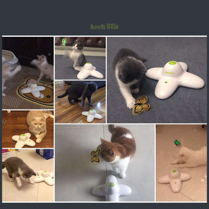 Butterfly Flying Funny Cat Artifact 