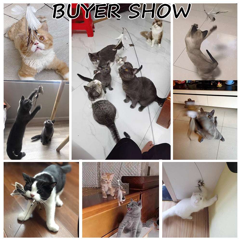 Detachable Wire Rod Sucker Cat Stick - Interactive Cat Toy

