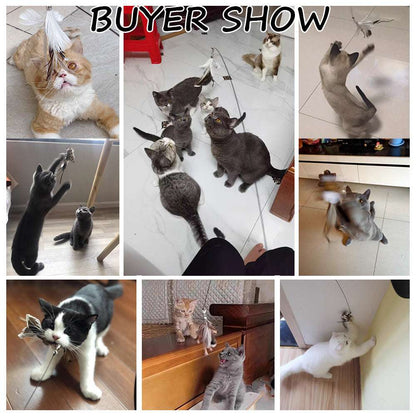 Detachable Wire Rod Sucker Cat Stick - Interactive Cat Toy

