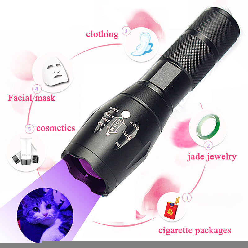 2-Pack UV Flashlight & LED Torch - 395nm Zoomable Blacklight
