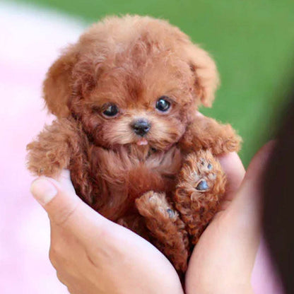 Robot Puppy Short Plush Doll Robot Puppy Short Plush Doll | Ectron Online