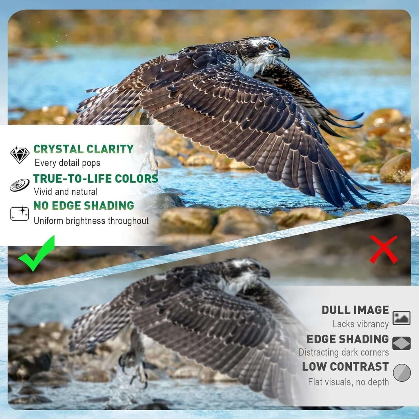 20x50 High Powered Binoculars for Adults 20x50 High Powered Binoculars For Adults | Ectron Online