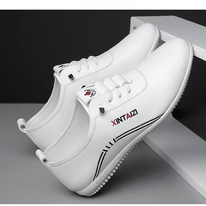 Breathable Lightweight Casual Flat Leather Shoes – Thin Design Breathable Lightweight And Thin Type Cas | Ectron Online