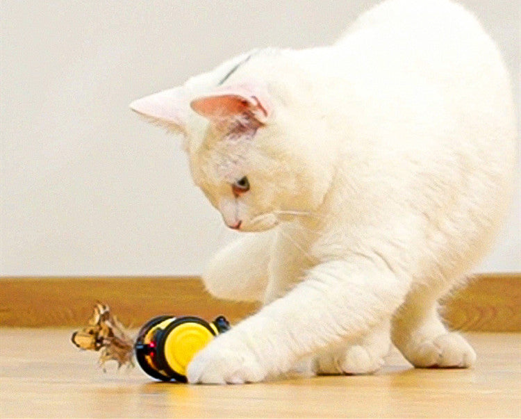 Plastic Electric Smart Cat Toy