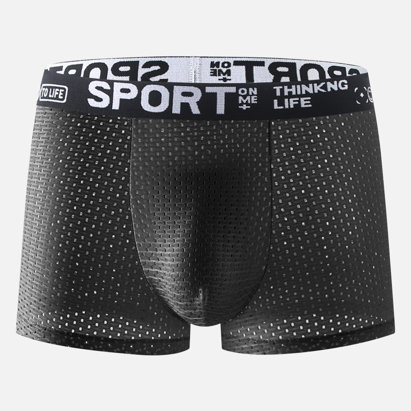 Men's Underwear Ice Silk Mesh Boxers