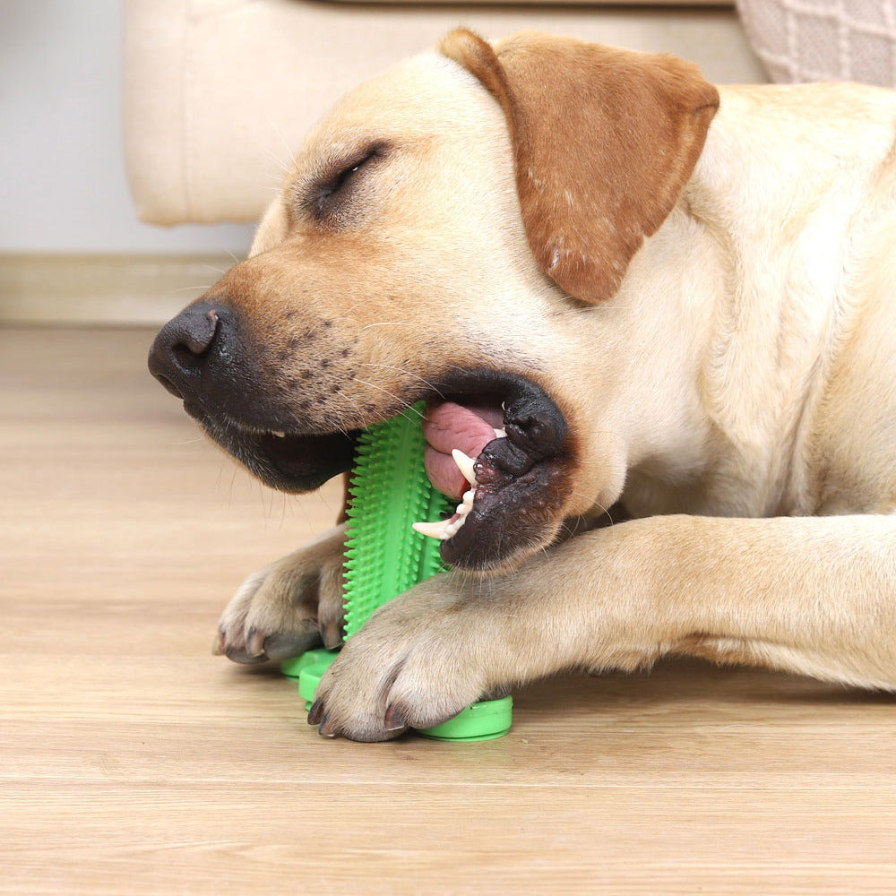 Vent Toy Sucker Cleaning Dog Toothbrush